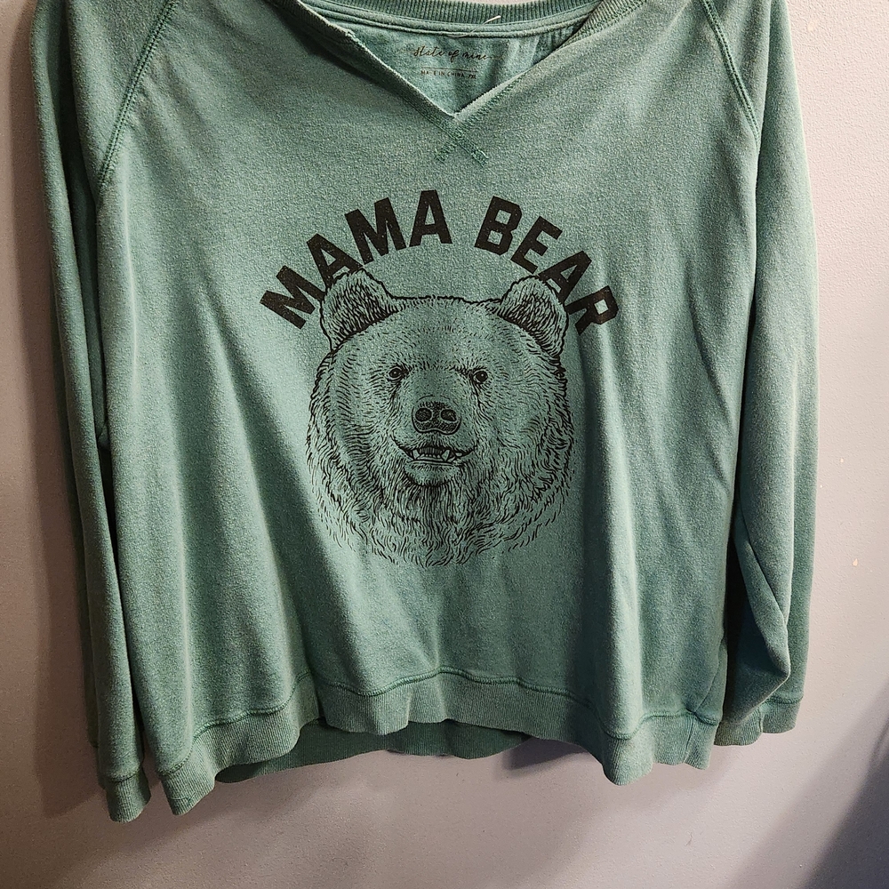 🍉State of Mind Teal 'Mama Bear' Hoodie